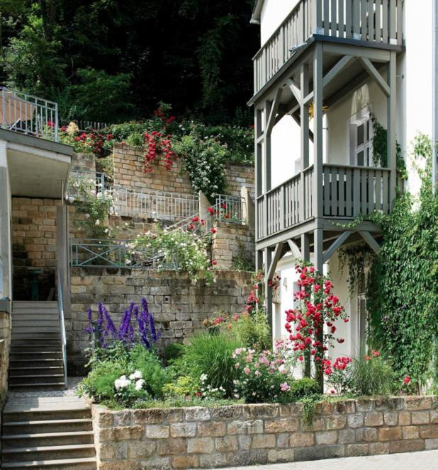 Apartmenthaus Saxonia Bad Schandau Exteriör bild