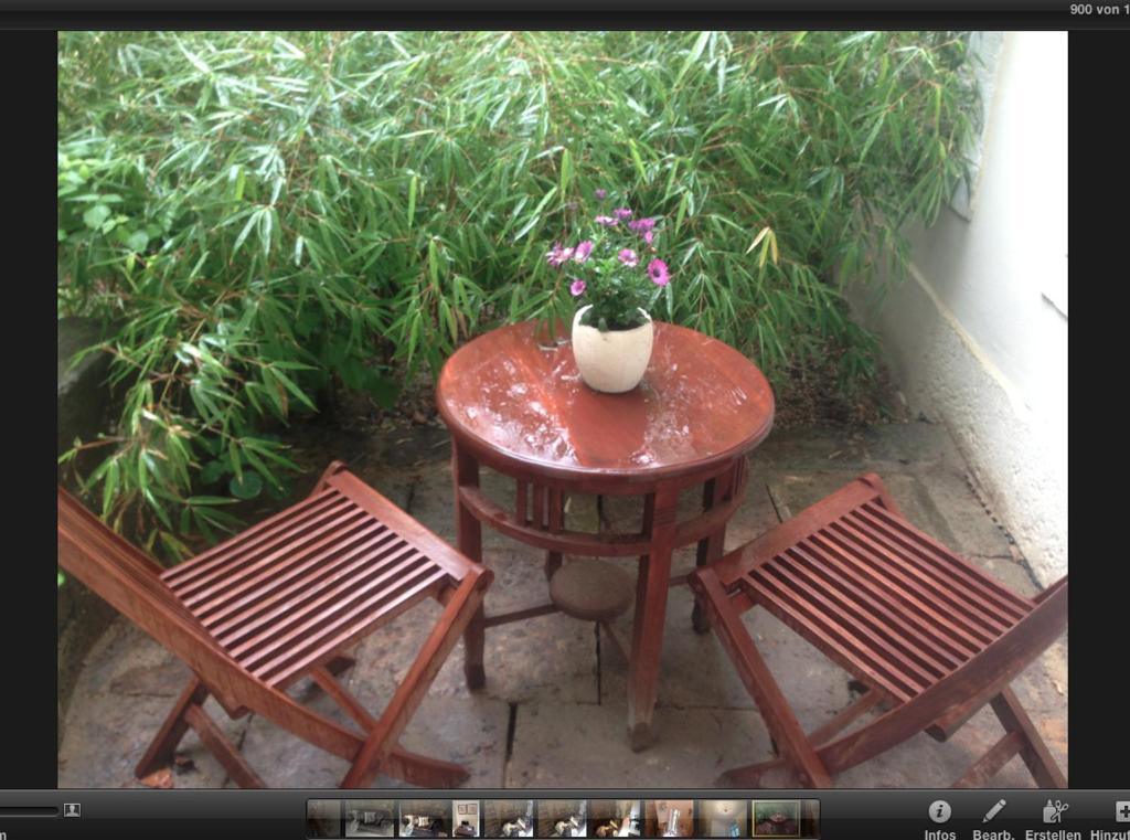 Apartmenthaus Saxonia Bad Schandau Rum bild
