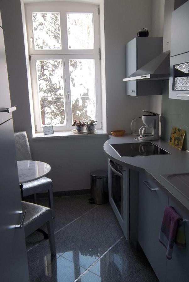 Apartmenthaus Saxonia Bad Schandau Rum bild